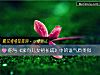 《你與《家有兒女初長成》中的誰氣質類似》测试