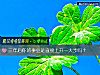 《三年後你的事業是直接上升一大步嗎？》测试