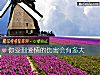 《你受到<i>愛情</i>的傷害會有多大》测试