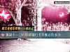 《測雙十一過後你的銀行卡余額還有多少》测试