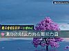 《測你的財運方向在哪些方面》测试