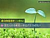 《本年八月你和<i>另一半</i>會産生分歧嗎？》测试