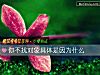 《你不找對象具體是因爲什麼》测试