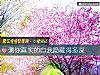 《測你<i>真實</i>的自我隱藏得多深》测试