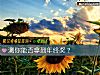 《測你能否拿到<i>年終獎</i>？》测试