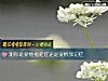《測你是<i>愛情</i>拖延症還是<i>愛情</i>強迫症》测试