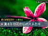 《測本年你和<i>伴侶</i>的關系怎樣》测试