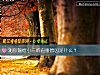 《測你輸給<i>小三</i>的直接原因是什麼？》测试