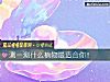 《測一測什麼植物最<i>適合</i>你！》测试