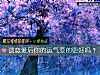 《談戀愛後你的<i>運氣</i>變的更好嗎？》测试