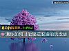 《測你如何才能夠擺脫婚前<i>焦慮</i>症》测试