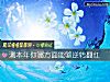 《測本年你哪方面能夠逆轉翻紅》测试