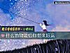 《什麼飾物能給你帶來<i>好運</i>》测试
