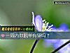 《一周內你<i>脫單</i>有望嗎？》测试