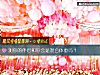 《測你的<i>伴侶</i>和你會是混合體重嗎？》测试