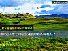 《測本年七月你會<i>遇到</i>中意的異性嗎？》测试