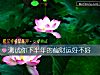 《測試你下半年的<i>偏財</i>運好不好》测试