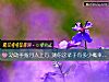 《動動手指月入上萬 測你這輩子有多少概率能夠做到》测试