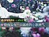 《你<i>有沒有</i>一點就炸的小暴脾氣》测试