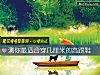 《測你最適合穿幾厘米的高跟鞋》测试