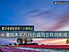 《測你本年八月會<i>遇到</i>怎樣的困境》测试