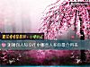《測測你人際<i>交往</i>中哪些人和你最合得來》测试