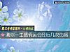 《測你<i>一生</i>感情運會經曆幾次傷痛》测试