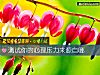 《測試你的心理<i>壓力</i>來源自哪》测试