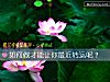 《如何做才能讓你最近轉運呢？》测试