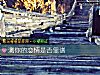 《測你的戀情是否<i>靠譜</i>》测试