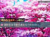 《測你在本年裏會<i>遇見</i>幾個心儀的ta》测试