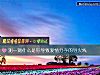 《測一測什麼是你導致<i>愛情</i>分手的導火線》测试