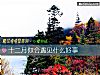 《十二月你會遇見什麼<i>好事</i>》测试
