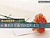 《測本年年春節你想和誰過》测试