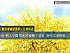 《情人節最想送對象<i>哪個</i>戒指 測你戀愛眼瞎指數》测试