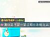 《測你是不是一輩子都在走<i>桃花運</i>》测试
