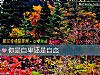 《你是<i>自卑</i>還是自戀》测试