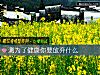 《測爲了健康你要<i>放棄</i>什麼》测试