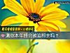 《測你本年終會被迫相親嗎？》测试