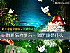 《你<i>愛情</i>的最後一道防線是什麼》测试