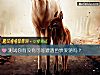 《測試你<i>有沒有</i>可能遭遇色衰愛馳嗎？》测试