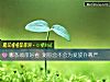《哪條頸帶好看 測你會不會爲愛<i>放棄</i>尊嚴》测试