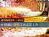 《結<i>婚後</i>你會主內還是主外》测试