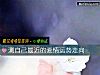 《測自己最近的<i>愛情</i>運勢走向》测试