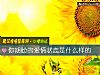 《你期盼的<i>愛情</i>狀態是什麼樣的》测试