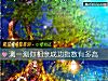 《測一測你相親成功<i>指數</i>有多高》测试