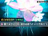 《<i>哪個</i>發型適合你 測你婚姻爲什麼會勞燕分飛》测试