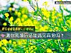 《測你離婚後還能遇見<i>真愛</i>嗎？》测试