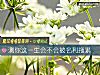 《測你這一生會不會被名利拖累》测试