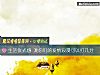 《生活儀式感 測你們的<i>愛情</i>浪漫可以打幾分》测试